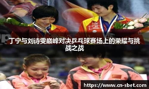丁宁与刘诗雯巅峰对决乒乓球赛场上的荣耀与挑战之战